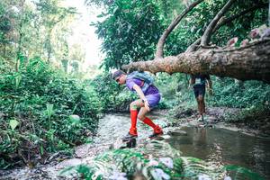 BIB: 
                            <button type="button" onclick="openModal(25432152)" class="btn btn-primary btn-sm float-right btn-popup" data-toggle="modal" data-target=".modal-high-quality">
                        <i class="fas fa-shopping-cart"></i> Add to Cart
                    </button>
                                            <button type="button" onclick="isThisMe(25432152, true)" class="btn btn-success btn-sm float-right btn-popup btn-isme hidden" data-toggle="tooltip" data-placement="bottom" title="นี่คือรูปของคุณใช่ไหม คลิกที่นี่เพื่อเอาเข้าอัลบั้ม">
                        <i class="fas fa-plus"></i> Add to album
                    </button>
                    <button type="button" onclick="isThisMe(25432152, false)" class="btn btn-warning btn-sm float-right btn-popup btn-isnotme hidden">
                        <i class="fas fa-ban"></i> Remove from album
                    </button>